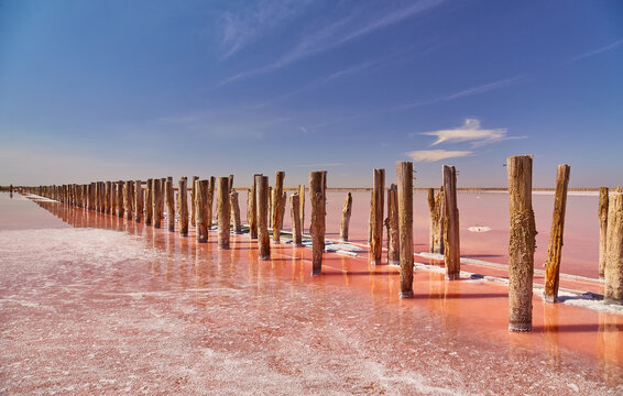 Pink Salt Lake with Wooden Posts, Sasyk-Syvash