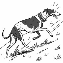 An Indian Greyhound running at full speed, captured in dynamic vector style, highlighting its grace and agility in motion.