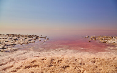 Shoreline of a Vibrant Pink Lake