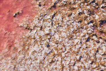 Pink Waters of Lake Syvash