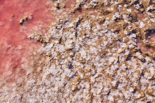 Pink Waters of Lake Syvash