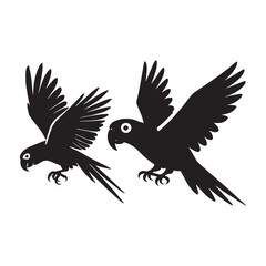 Obraz premium parrot bird silhouette vector