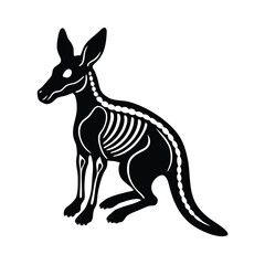 kangaroo vector illustration
