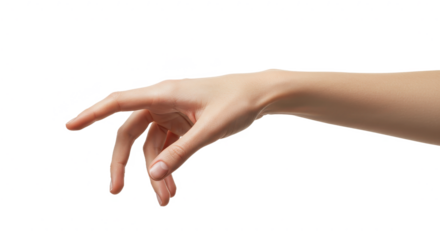 A slender human hand slightly curved fingers and a natural wrist position isolated on transparent background