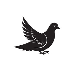 Fototapeta premium Simple Minimalistic Creative pigeon isolated on white background 