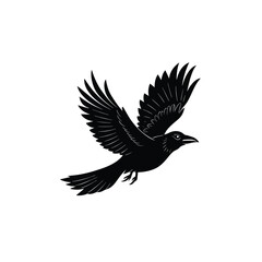 crow on white background Silhouette of a flying bird with outstretched wings