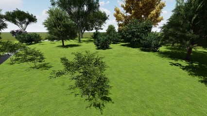 Obraz premium 3d image of the landscape design of the home territory. Landscaping of the territory. Computer visualization of composite landscaping and landscaping solutions.