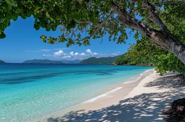 Serene Tropical Beach with Crystal Clear Waters and Lush Greenery Under Bright Blue Sky and Fluffy White Clouds