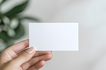 Obraz premium Person holding a clean, white card against a neutral backdrop. The card is centered in the frame with subtle green leaves in the background