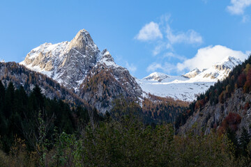snowy mountain and trees in Italy. Location Bagni di Masino
