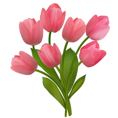 Spring flowers. Floral background. Buds. Pink. Green leaves. Beautiful vector illustration of pink tulips on a white background. Bouquet.