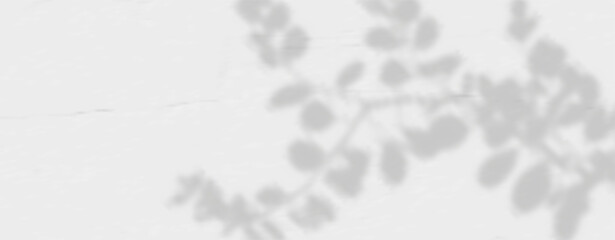 Glare from the sun's rays on the wall. Blurred shadows from leaves and plants in the room.