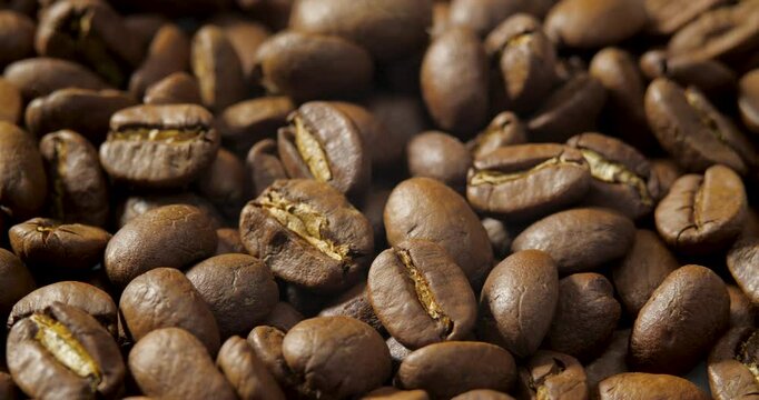 Arabica Coffee Beans Maragogipe Rotating Background. Elephant Beans
