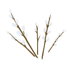 Illustration of willow branches isolated without background 