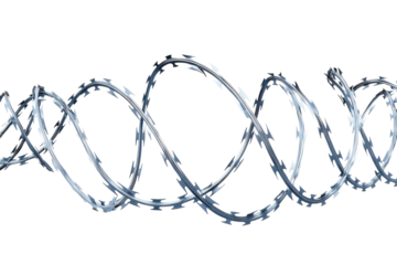 Curved barbed wire stretches across a stark white background, symbolizing barriers and confinement isolated on transparent background