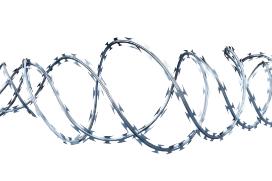Curved barbed wire stretches across a stark white background, symbolizing barriers and confinement isolated on transparent background