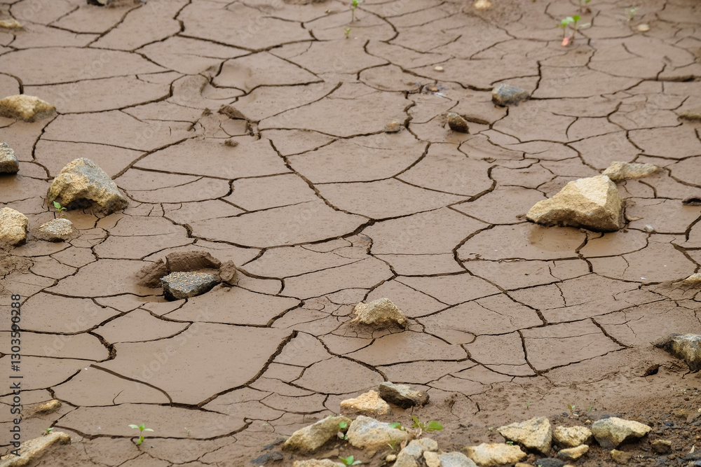 Poster abstract pattern and texture background of cracked soil.environment and climate change concept.for g
