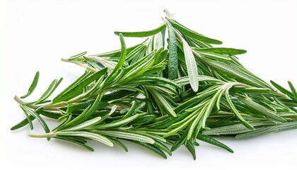 Fototapeta premium rosemary herb spice leaves isolated on white background cutout