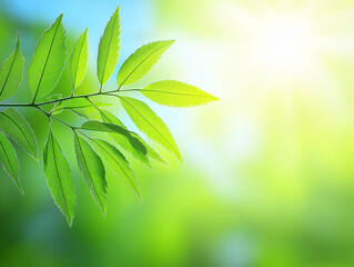 Vibrant Green Leaves with Sunlight and Blurred Nature Background – Fresh Spring Foliage
