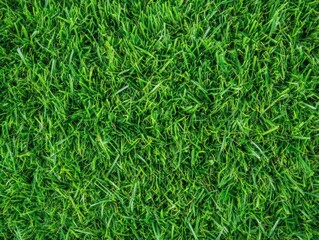 Close-Up View of Vibrant Green Grass Blades Capturing Nature's Chaotic Beauty in Detail