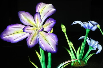 photo de nuit d'une décoration faite d'un iris