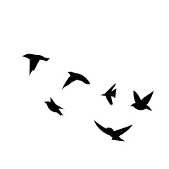 Flying birds silhouettes
