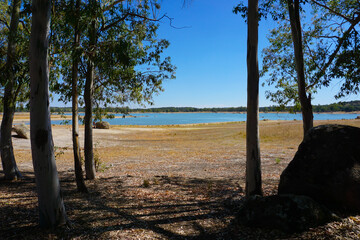 Obraz premium View of a Lake Framed by Trees