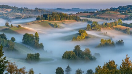 Fototapeta premium Misty Morning Landscape: Serene Rolling Hills and Fog
