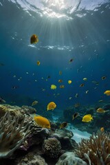 coral reef in the sea