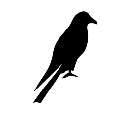 Birds icon  © Arizal