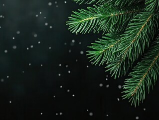 Snowfall gently falls on evergreen branches in a serene winter setting