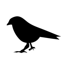 bird silhouettes vector
