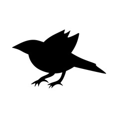 bird silhouettes vector
