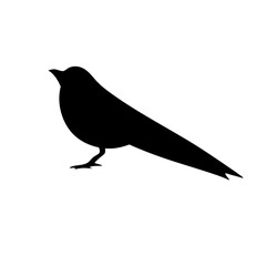 bird silhouettes vector
