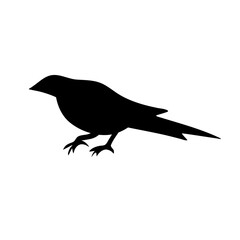 bird silhouettes vector
