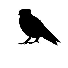 bird silhouettes vector
