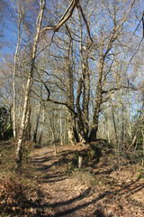 Queens Hill Costessey Norwich, United Kingdom, March 2, 2025. Views from Queens Hill Forest