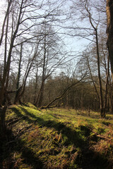 Queens Hill Costessey Norwich, United Kingdom, March 2, 2025. Views from Queens Hill Forest