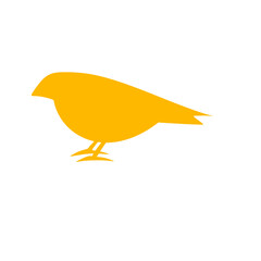 Colorful bird flat design