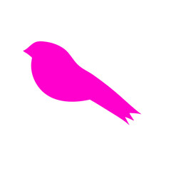 Colorful bird flat design