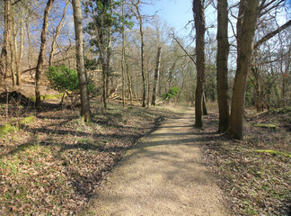 Queens Hill Costessey Norwich, United Kingdom, March 2, 2025. Views from Queens Hill Forest