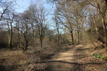 Queens Hill Costessey Norwich, United Kingdom, March 2, 2025. Views from Queens Hill Forest