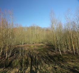 Queens Hill Costessey Norwich, United Kingdom, March 2, 2025. Views from Queens Hill Forest