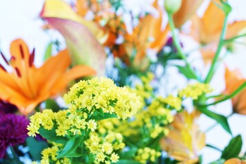Bouquet de fleurs colorés 