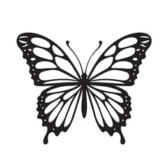 Elegant butterfly line art vector on a transparent background