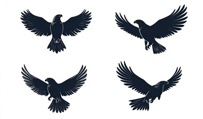 Obraz premium Birds in Flight, Silhouette Design