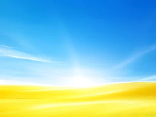  Sunny landscape with a glowing sun over yellow sand © Dandra