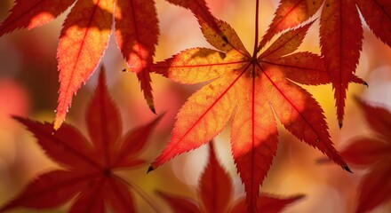 Autumn Leaves Displaying Vibrant Red and Orange Colors in Close-up View