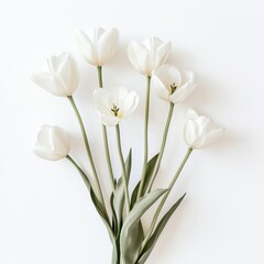 Elegant white tulips arranged gracefully on a light background during springtime