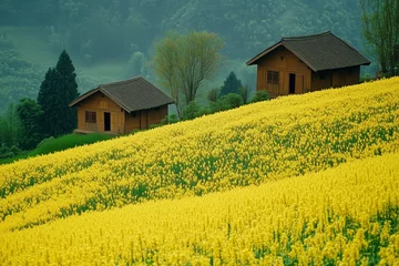 Fototapeten Charming rural landscape featuring vibrant yellow flowers, traditional wooden houses, and lush green hills in the background. © RaptorWoman